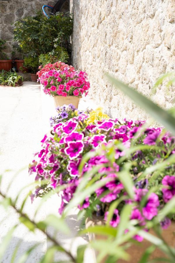 La Bella Vita - Luxury Holiday House Close To Corfu Town Potamos  Exterior photo